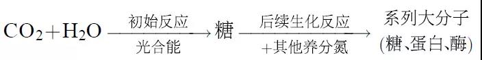 重視有機營養(yǎng)研究與有機碳肥創(chuàng)新 —關于植物營養(yǎng)經(jīng)典理論的現(xiàn)代思考1.jpg
